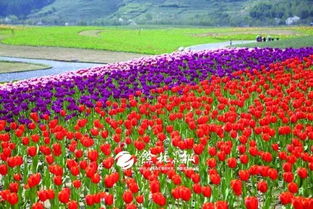 國家隊(duì)點(diǎn)名 余杭這個(gè)地方最新規(guī)劃來了