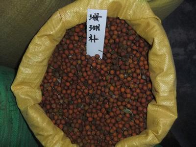 【咸陽市香椿種子價格】價格,廠家,其他種子、種苗-搜了網