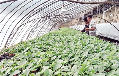 紀(jì)念長征勝利80周年特別報(bào)道:昔日長征路 今朝換新顏